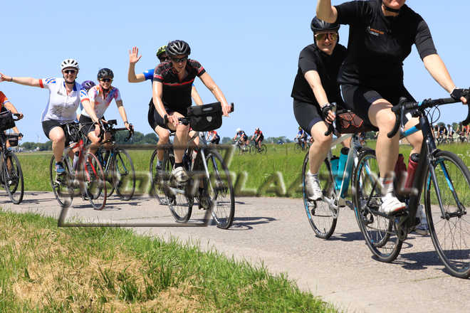 F16870.jpg
